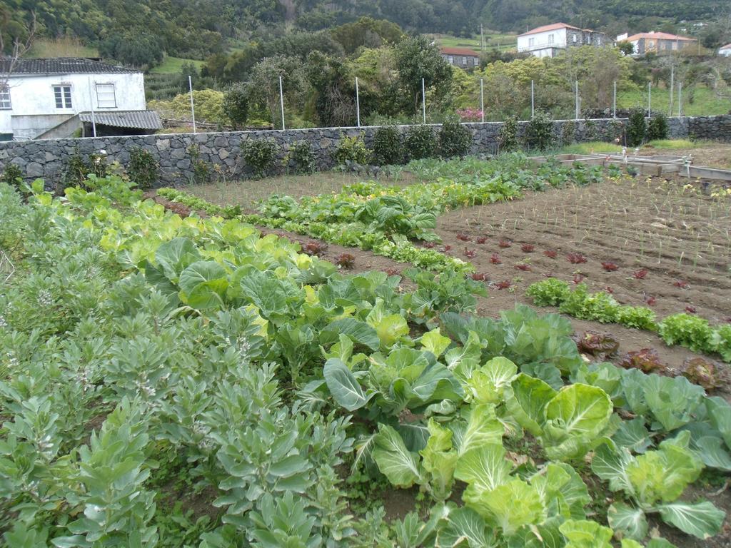 מלון ולאס Tropical Fruit Garden מראה חיצוני תמונה