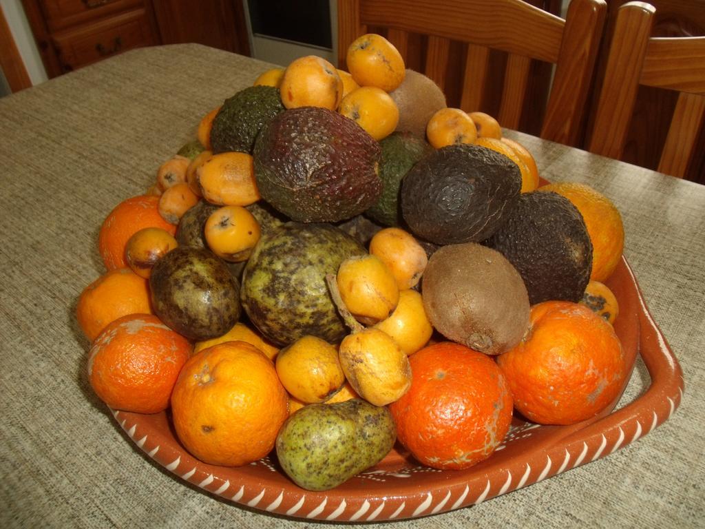 מלון ולאס Tropical Fruit Garden מראה חיצוני תמונה